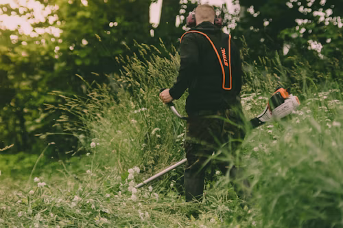 Lokales Platzhalterbild für Wildwuchs entfernen